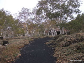 nti Sartorius-01-11-2012 12-14-54